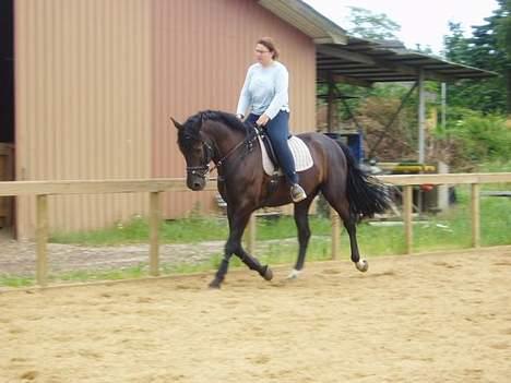 Anden særlig race Mr. Duvall - sommer 06 billede 3