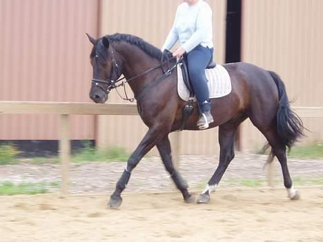 Anden særlig race Mr. Duvall - sommer 06 billede 4