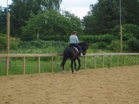Anden særlig race Mr. Duvall - sommer 06 billede 6