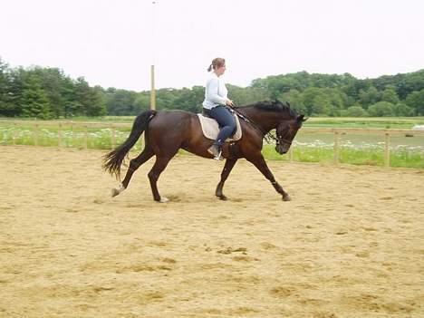 Anden særlig race Mr. Duvall - sommer 06 billede 7