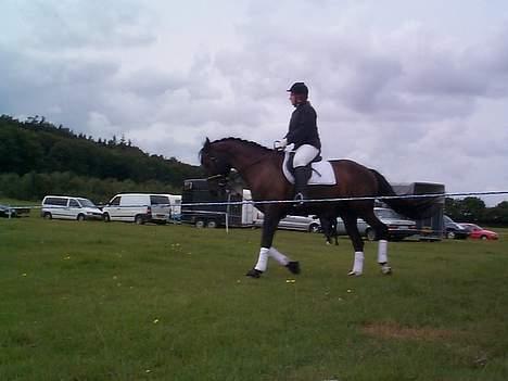 Anden særlig race Mr. Duvall - opvarmning billede 11