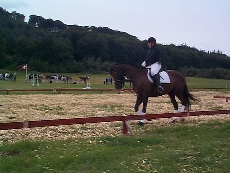 Anden særlig race Mr. Duvall - så starter showet billede 12