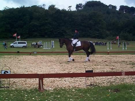 Anden særlig race Mr. Duvall - 05 billede 13