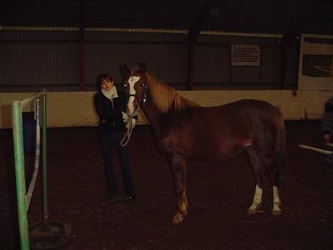 DSP Madonna - madonna til træning i horsemanship 17.2.07 billede 11