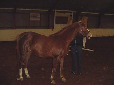 DSP Madonna - træning fra jorden 17.2.07 billede 12