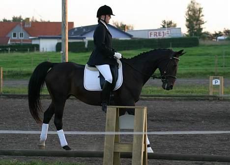 Anden særlig race Bella R.I.P. d. 27/10-09 - Bella og mig til stævne... billede 1