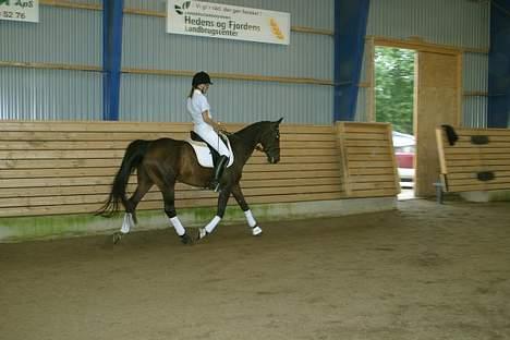 Anden særlig race Bella R.I.P. d. 27/10-09 - Mig på Bella i ridehallen... billede 2