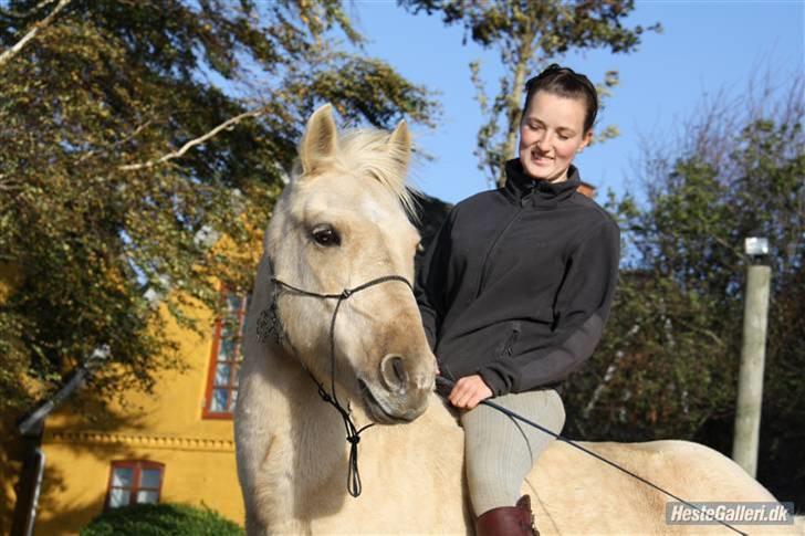 Anden særlig race Poppelgården´s Guliver - Velkommen til Gullivers profil foto: Jeanett billede 2