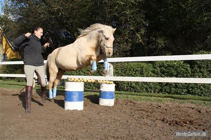 Anden særlig race Poppelgården´s Guliver - Gulliver elsker at leje Foto: Jeanett billede 4