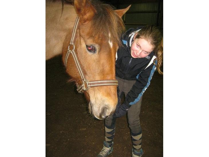 {{currentPhoto.altText}} billede {{currentPhoto.number}}