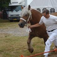 Jyde Fionia Tindbæklund