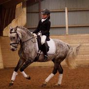 New Forest lundemarksgårds c. ance