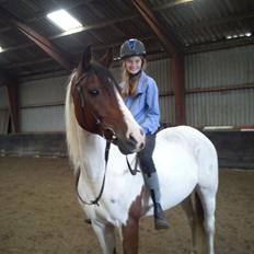 Anden særlig race Starlight vsr