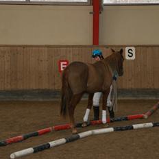 Traver Amazing Fireworks