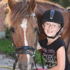 New Forest Elmholts Zeus