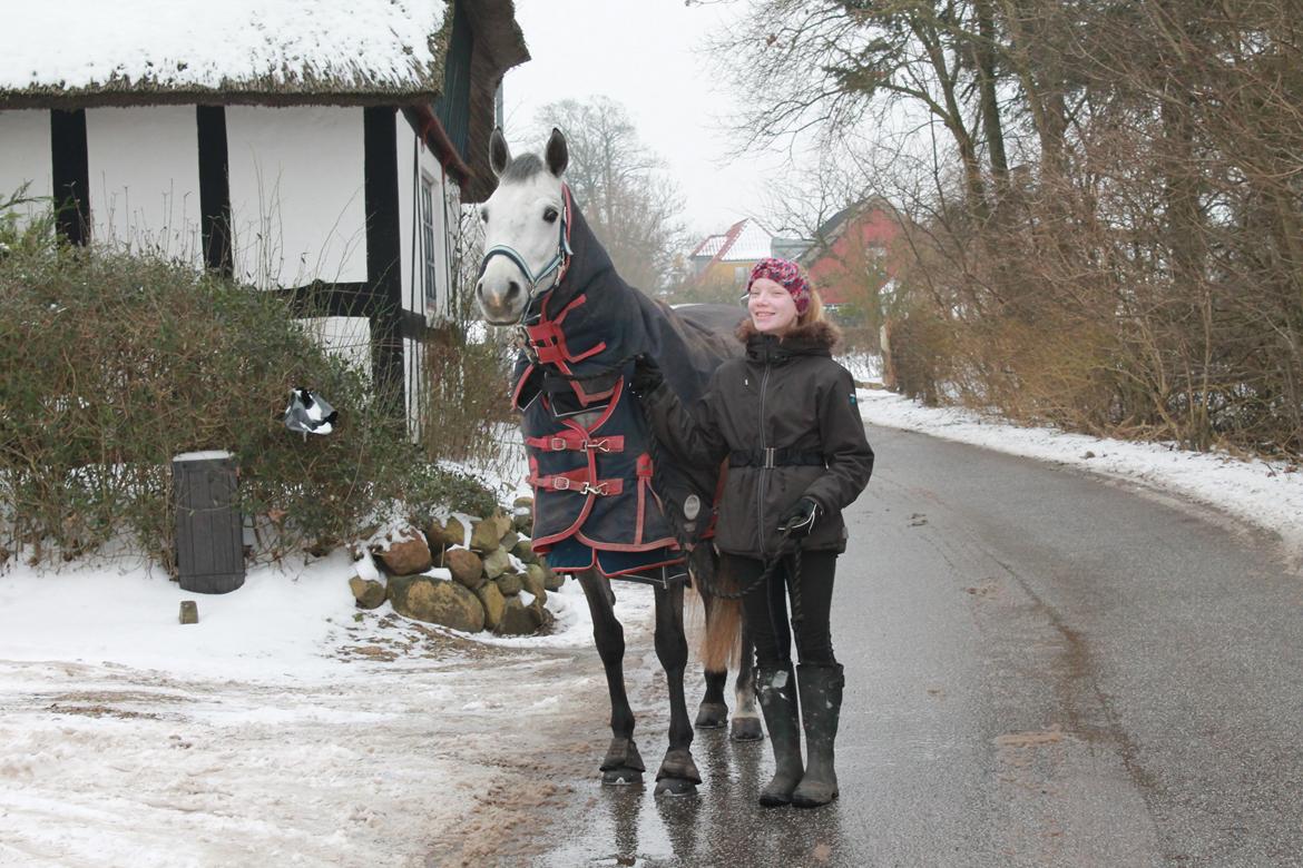 Connemara Mosegårdens Mascha  billede 18