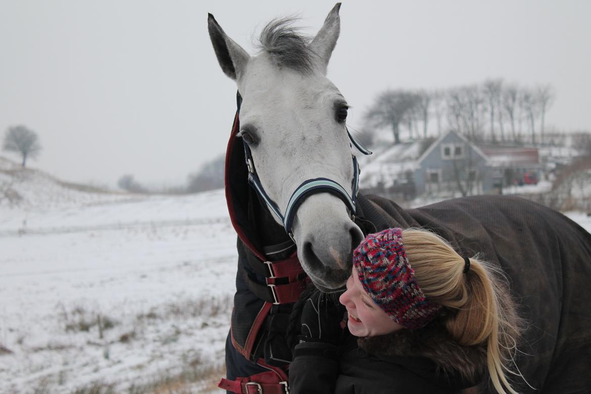 Connemara Mosegårdens Mascha  billede 16