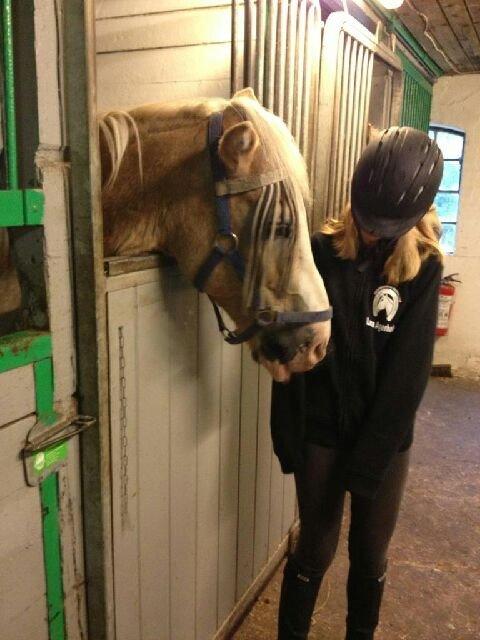 Haflinger Aalekrogens Stafet [Rideskole] - ♥ Mig og ponyen (Gammelt billed!) ♥ billede 13