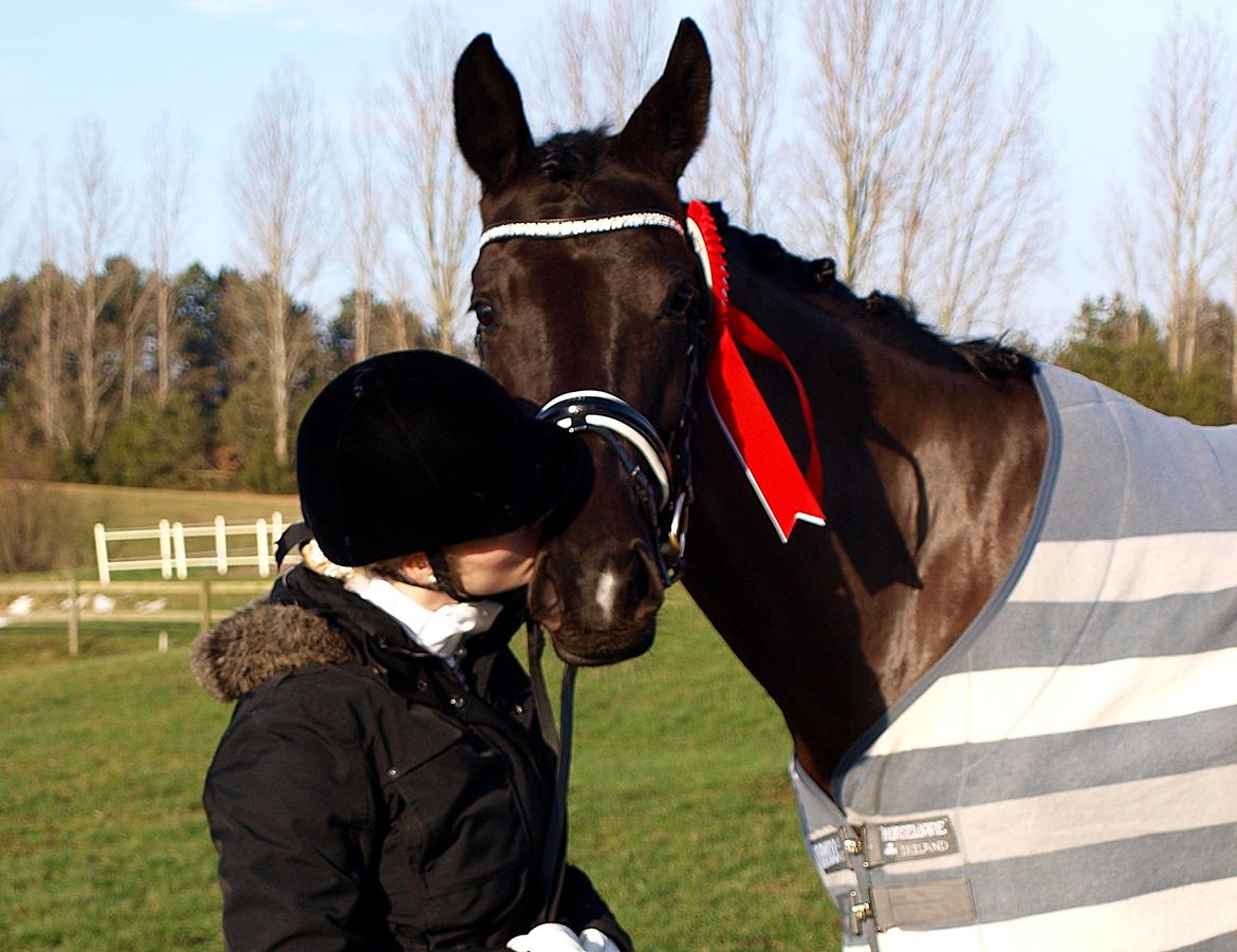 Dansk Varmblod Bucklands Donna - Vinder af 1.kvalifikation af D4 Cup 2014, som var hendes første LB2 med 71,67%! <3 Ingen bedre stjernehest end Donna <3  billede 9