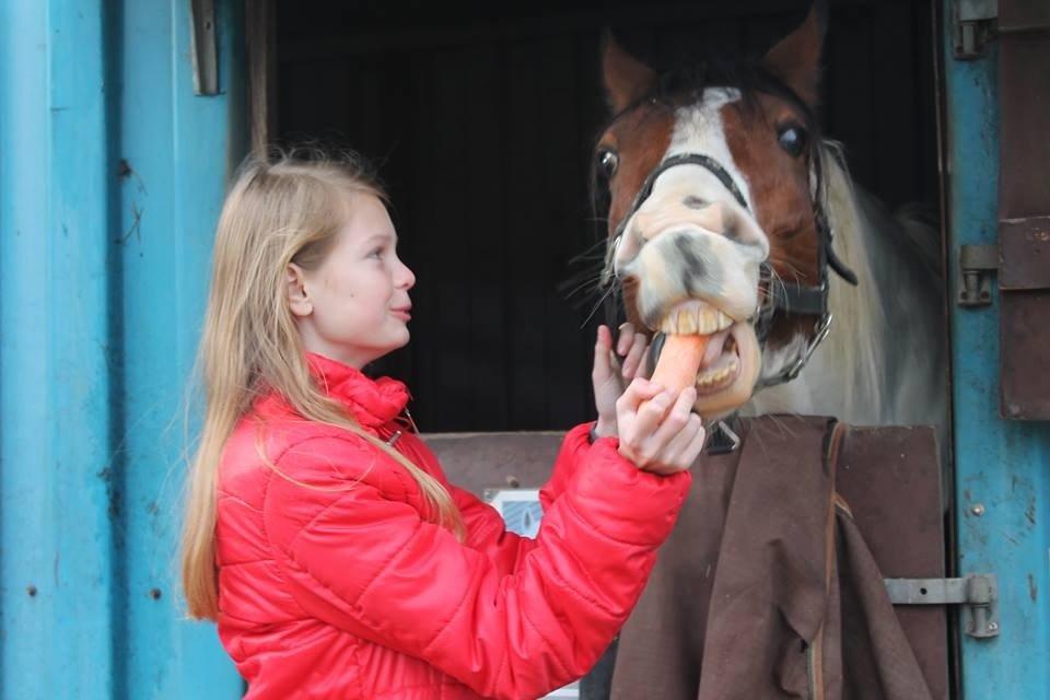 Anden særlig race Starlight vsr - Elsker !!!<3 billede 4