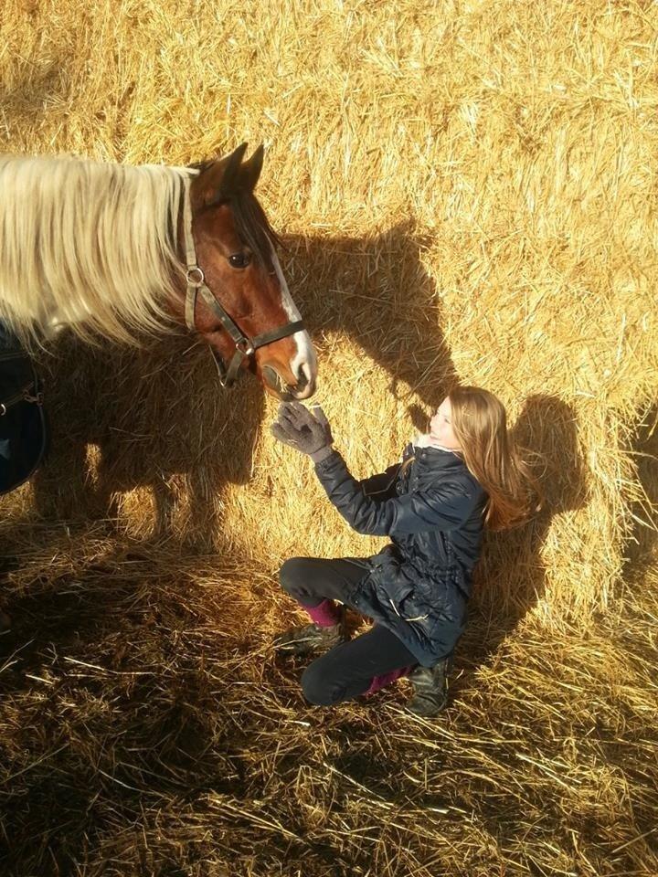 Anden særlig race Starlight vsr - Min bedste ven billede 7