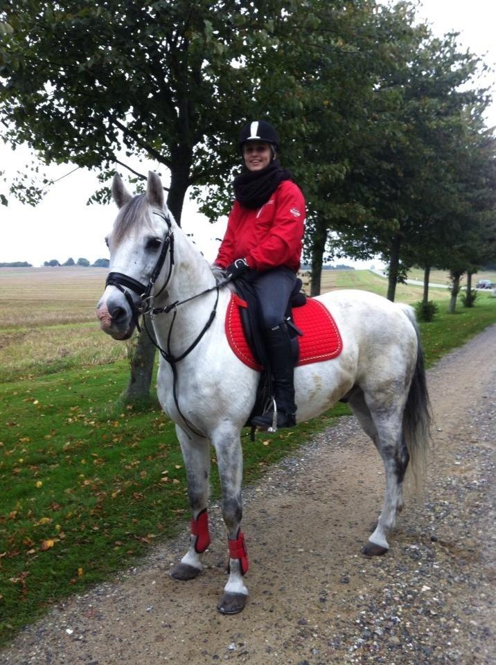 Anden særlig race Cæsar - Wiffertsholmstævne 2013 billede 11