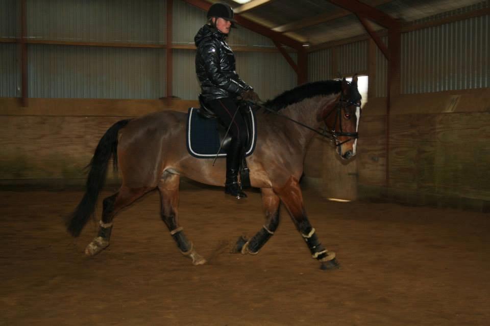 Oldenborg Narnio Roi - Træning Februar 2014 billede 28