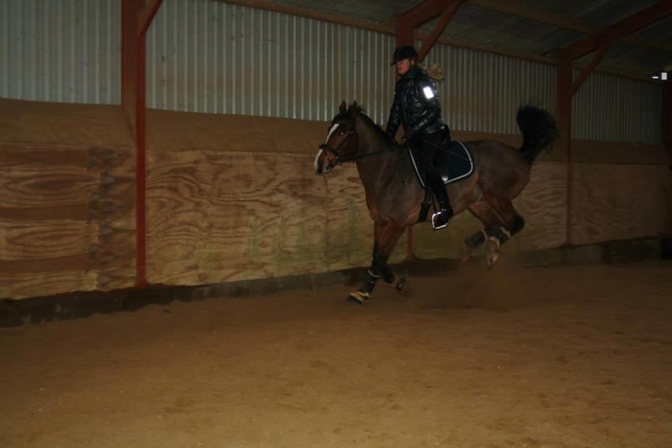 Oldenborg Narnio Roi - Stadig en lille fræk hest :D
Februar 2014 billede 35