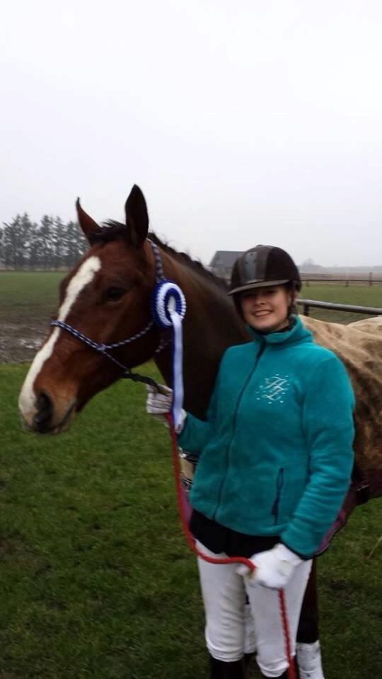 Oldenborg Narnio Roi - 3 stævne med Narnio efter nytår, red til 67,05 i LC2. billede 44