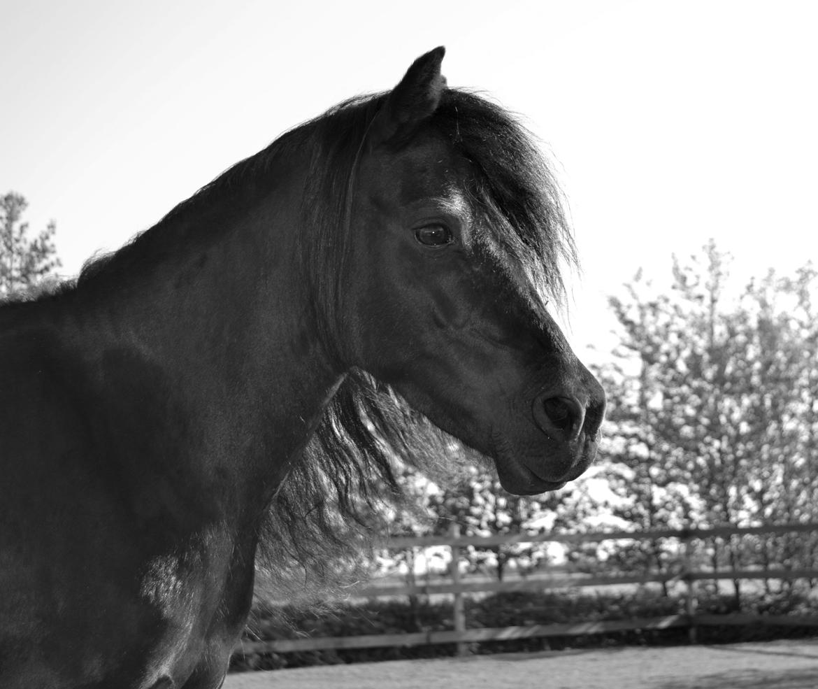 DSP Beauty - “The only way to get through life is to laugh your way through it. You either have to laugh or cry. I prefer to laugh. Crying gives me a headache.” Foto: Mig billede 1