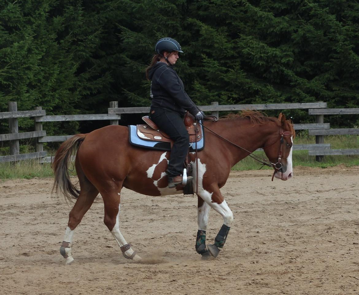 Paint CLP Sweet Little Pistol (død) billede 2