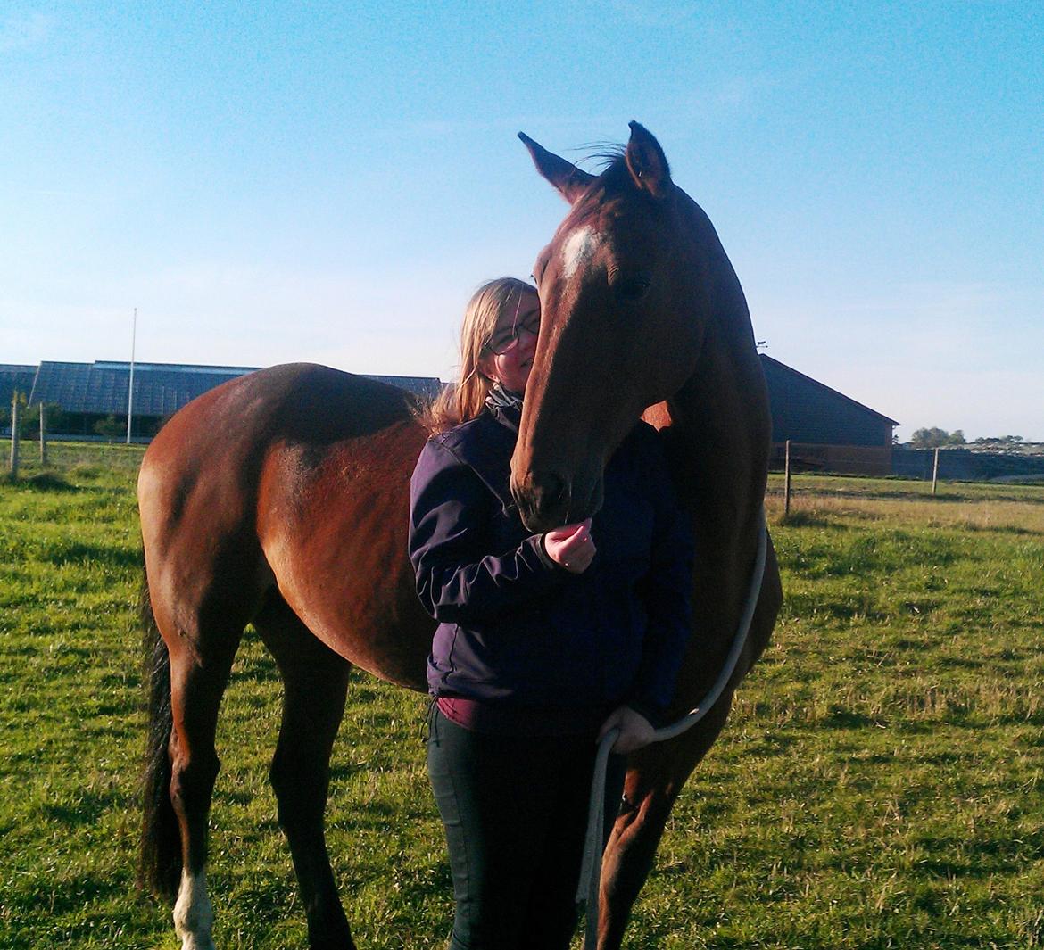 Traver Diego Sølvbjerg billede 21