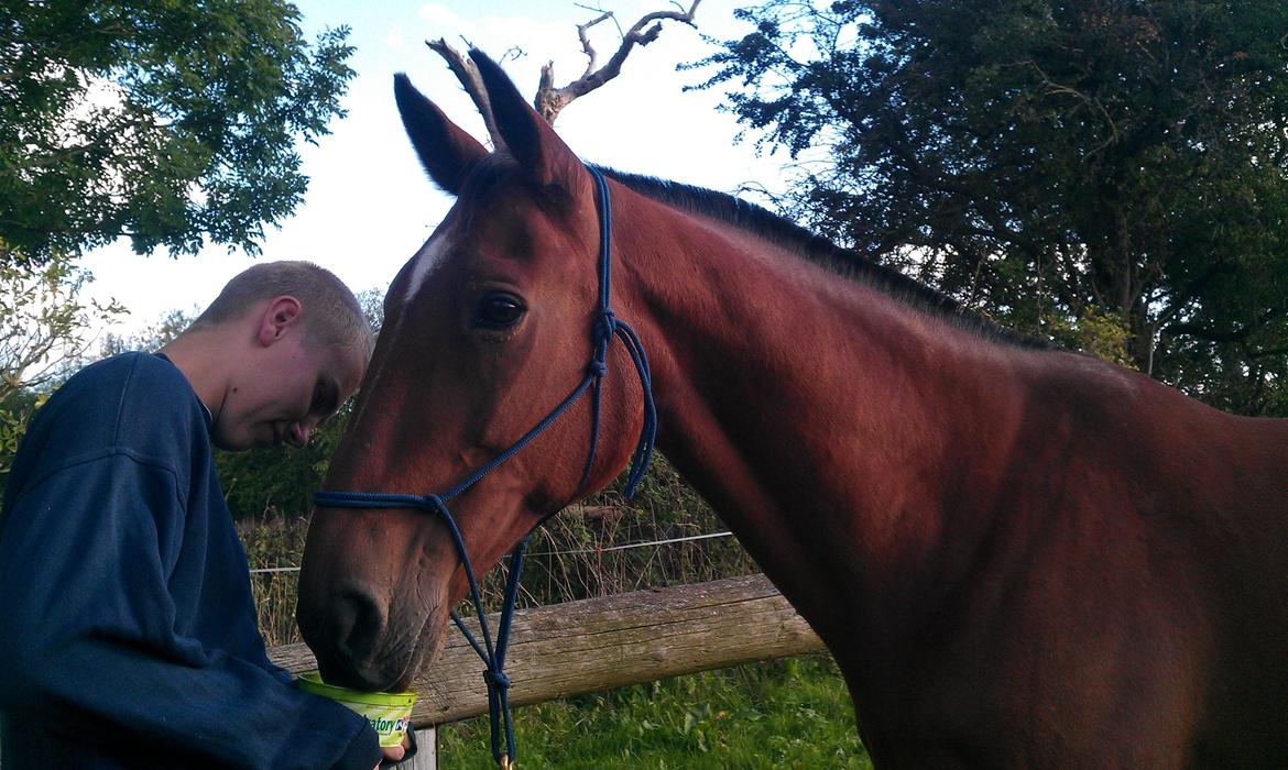 Traver Diego Sølvbjerg - Så røg den tjavsede man af :-)  billede 18