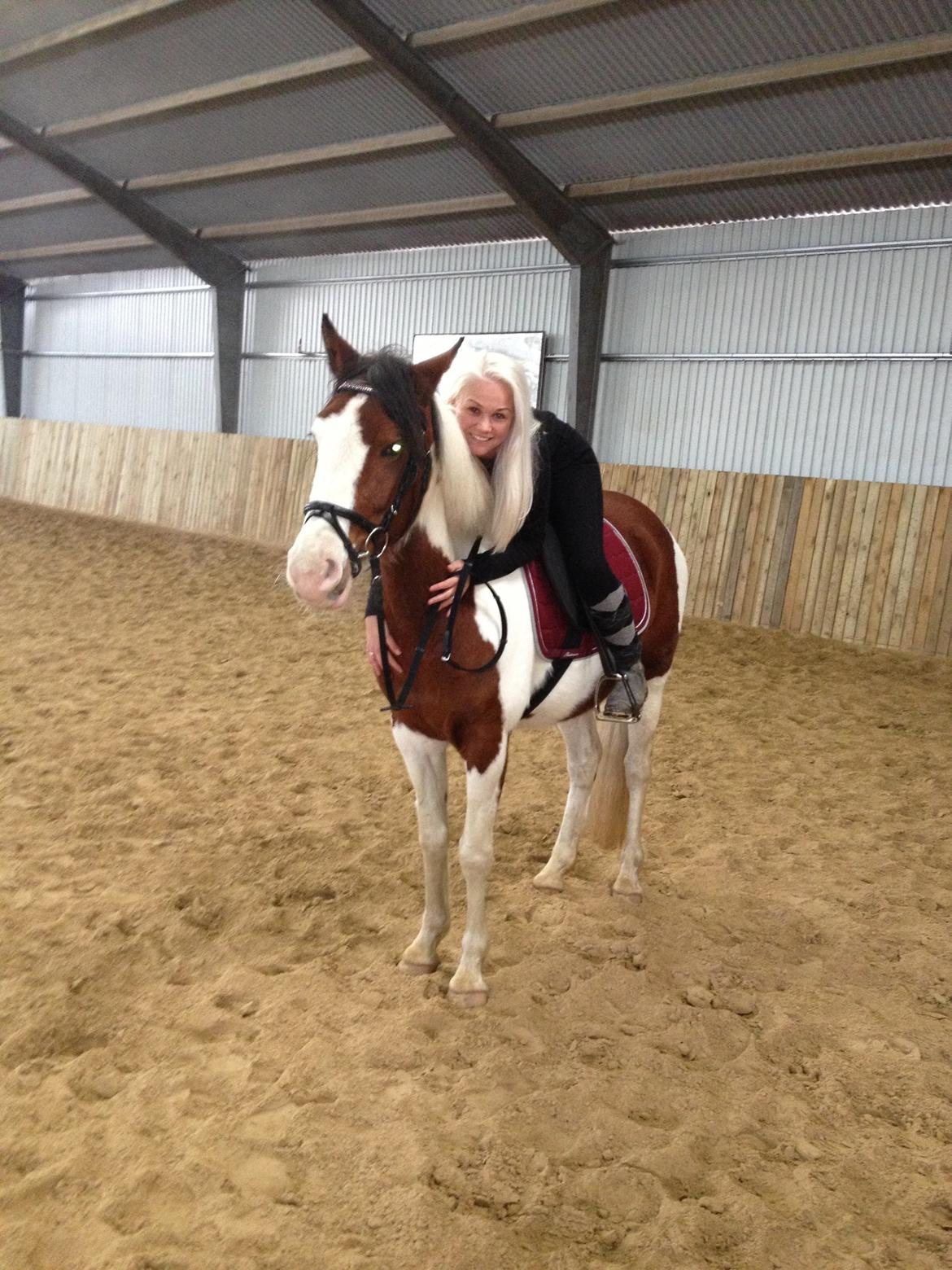 Pinto Malibu Passion billede 24