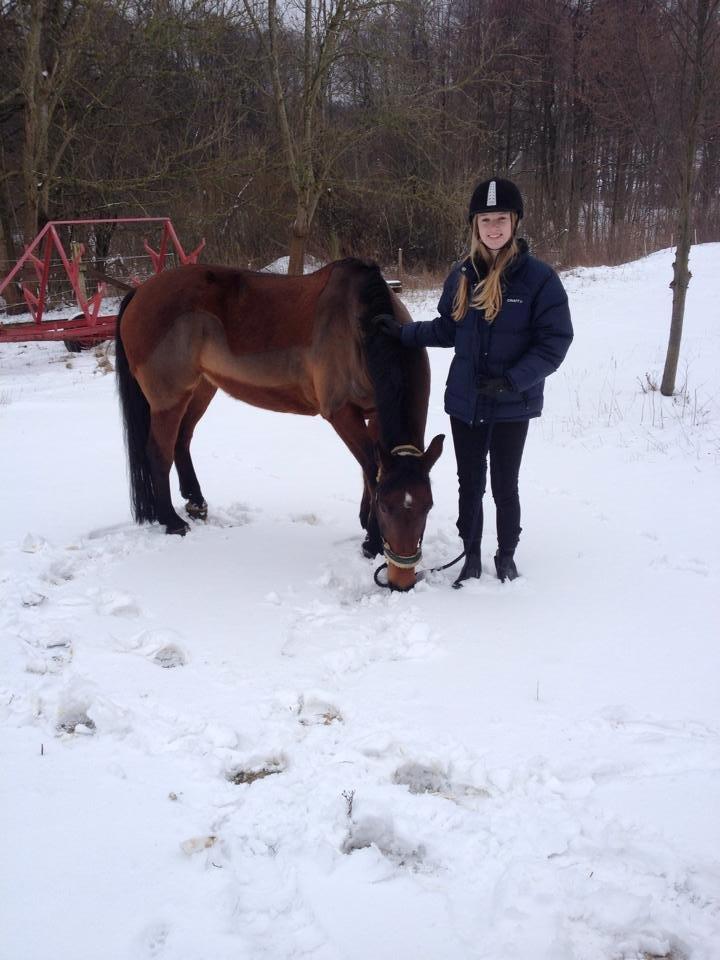 Anden særlig race Smilla - En dag i sneen :) billede 8
