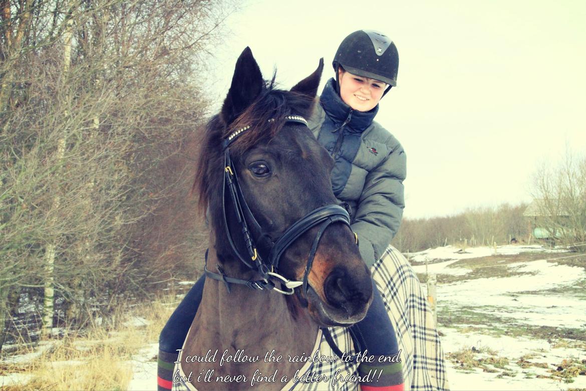Anden særlig race Skonhøjs Mondi | Savnet så forfærdelig meget! :'(  - I could follow the rainbow to the end,
but i'll never find a better friend!! billede 17