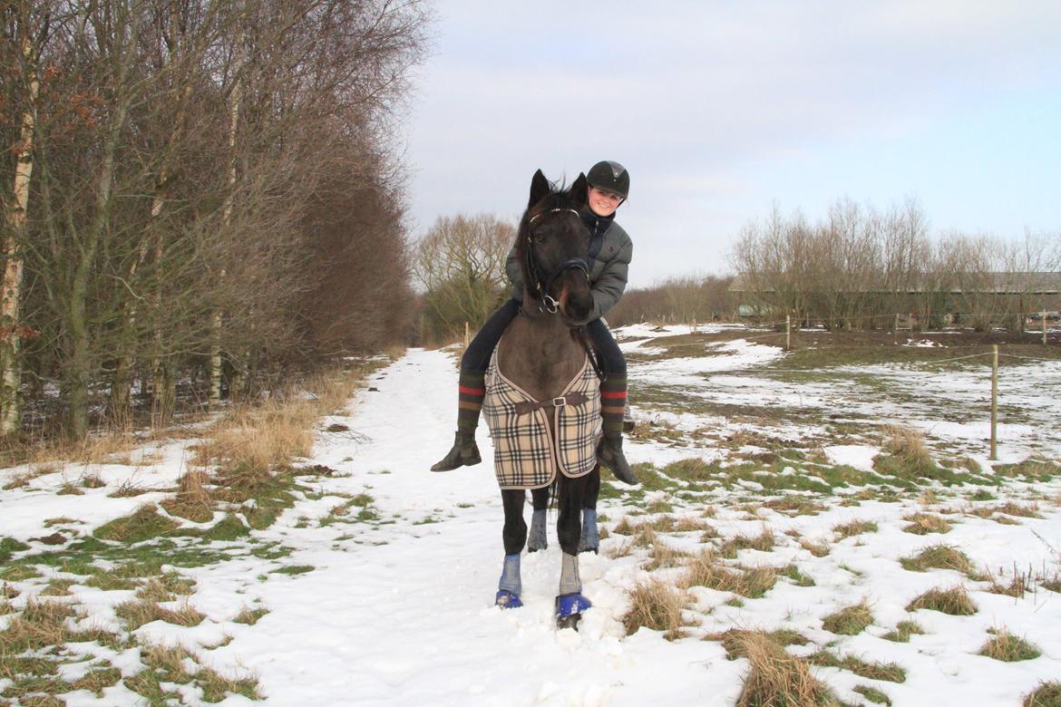 Anden særlig race Skonhøjs Mondi | Savnet så forfærdelig meget! :'(  - Mondi og jeg i sneen :D <3 billede 8