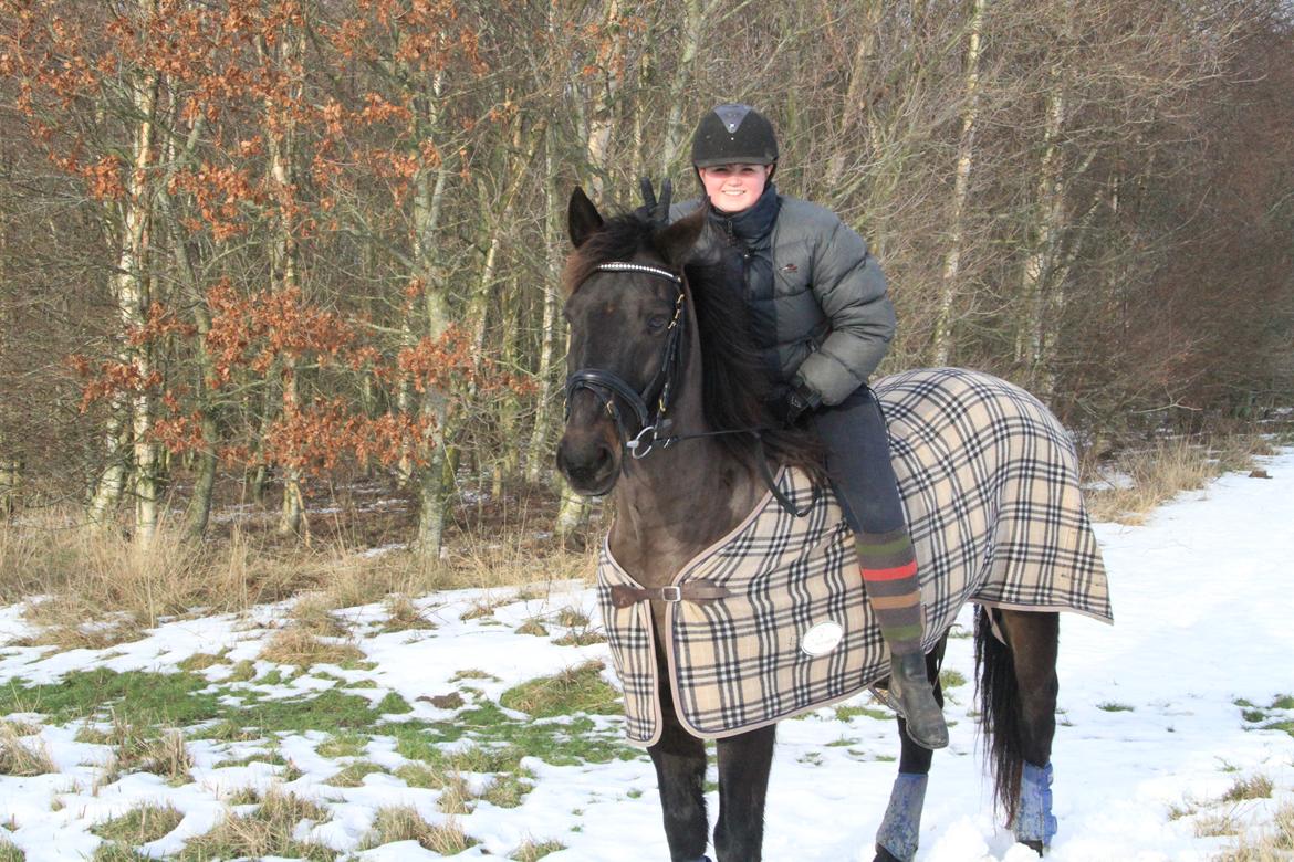 Anden særlig race Skonhøjs Mondi | Savnet så forfærdelig meget! :'(  - Min store "kanin" <3 billede 14