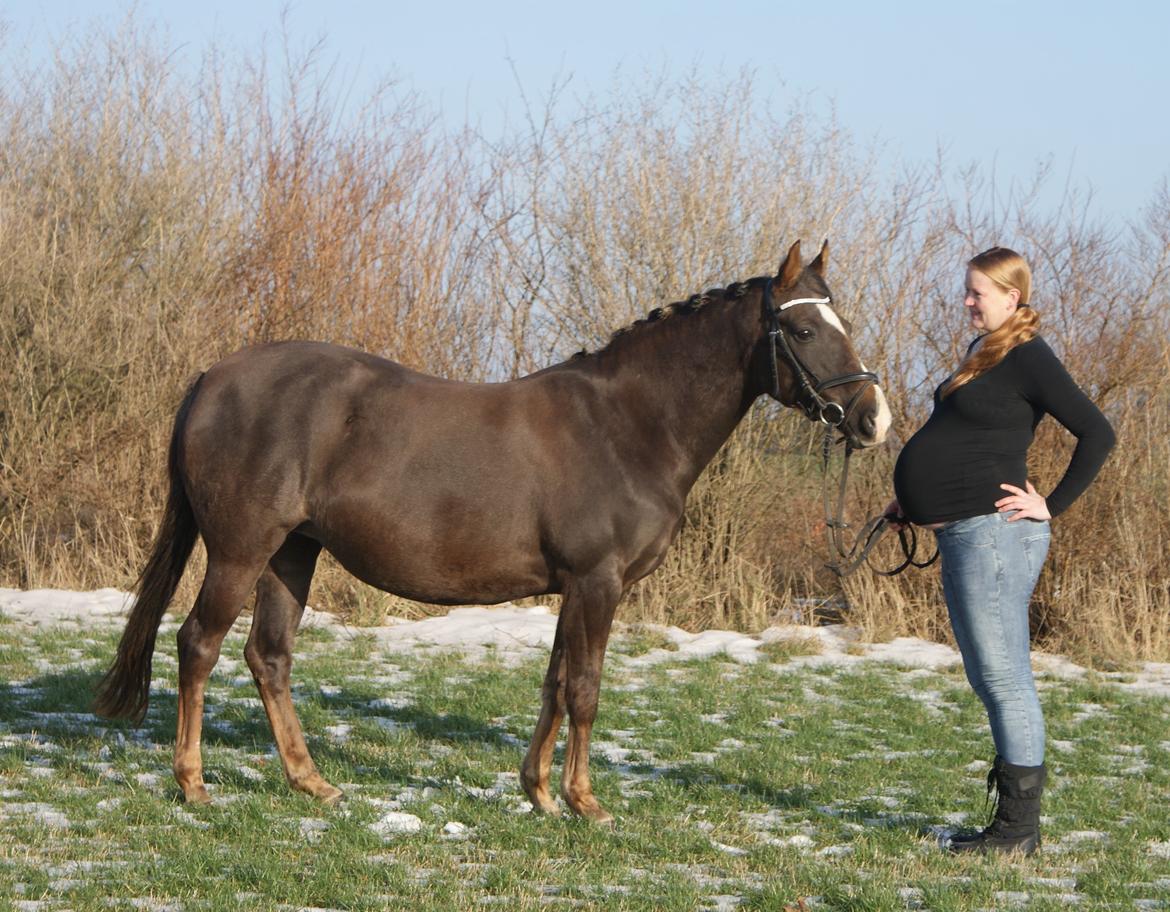 DSP Dutchy - Prinsessen og jeg. <3
Hun har termin 6/5-2014 jeg har 3/4-2014 billede 20