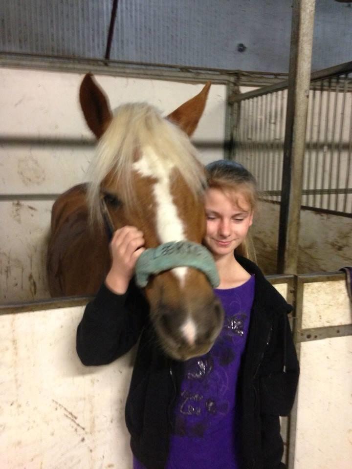 Haflinger Røgtergårdens Aqua *Felix* //MY SOULMATE<3// - I love you!<3 billede 19