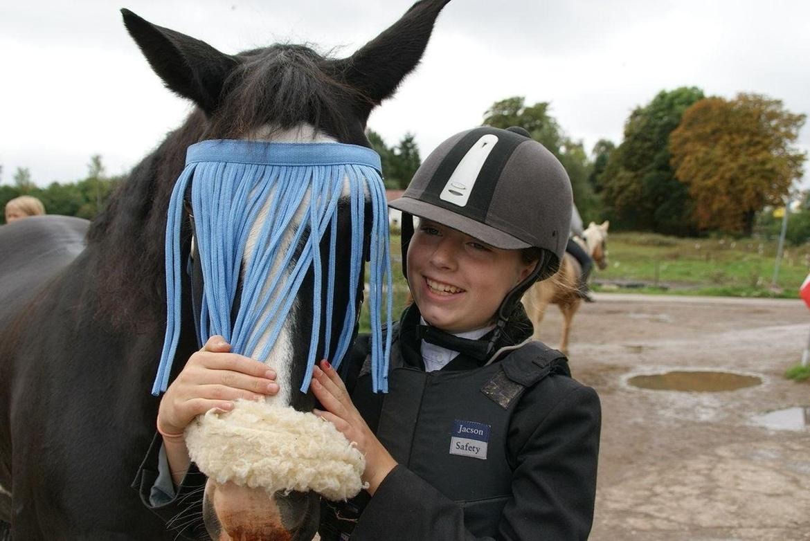 Hollandsk Sportspony Blesjer - Elsker det her billede. Det viser hvor glad jeg er for hende. Hun er min pige og det vil hun altid være. Jeg vil altid være stolt af dig lige meget hvad resultatet er. <3 <3 billede 3