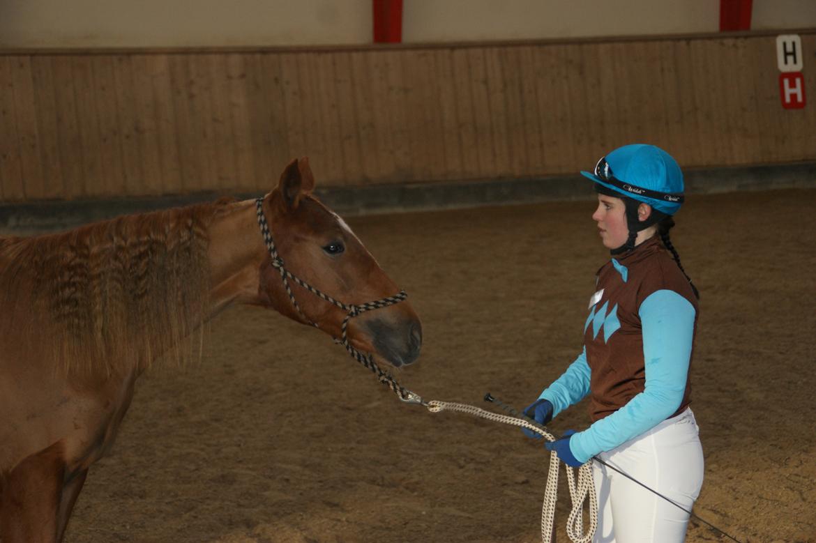 Traver Amazing Fireworks billede 6