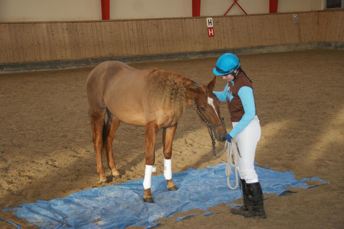 Traver Amazing Fireworks billede 8