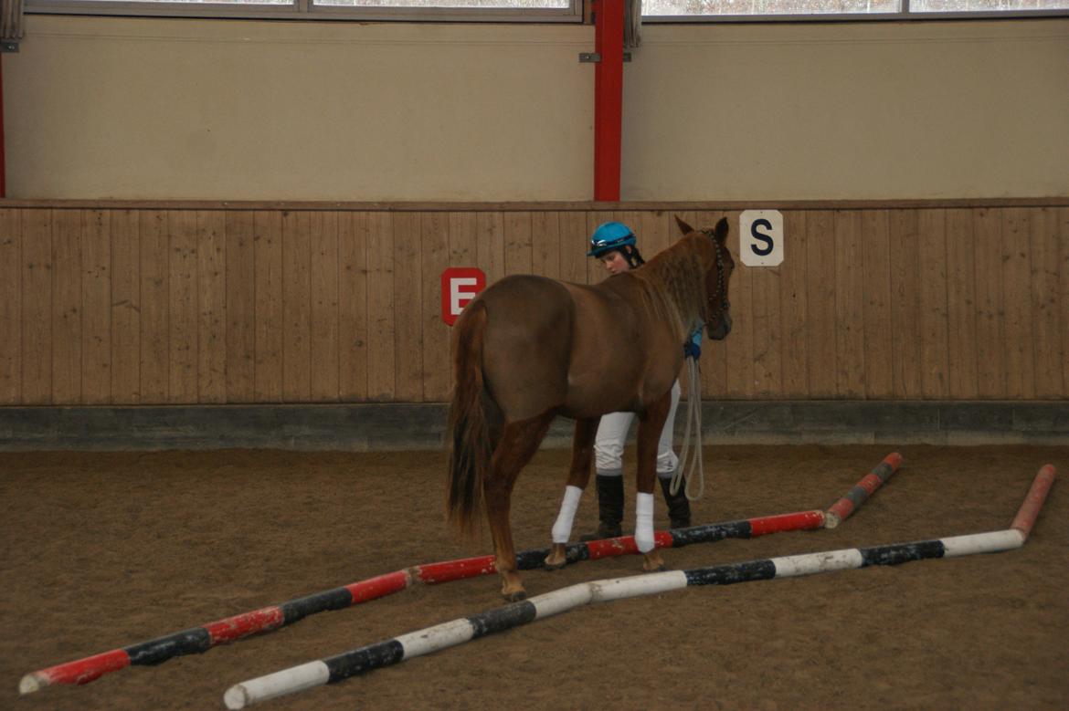 Traver Amazing Fireworks billede 2