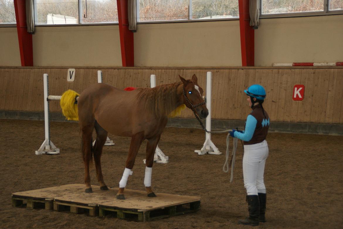 Traver Amazing Fireworks billede 13