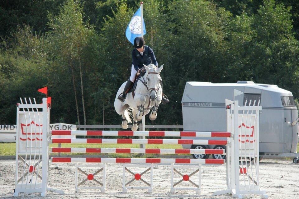 Holstener birknæs chalotte - baltic cup  billede 1