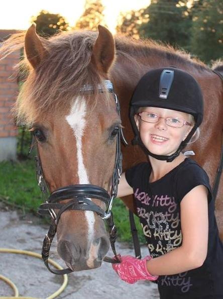 New Forest Elmholts Zeus billede 1