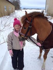 New Forest Elmholts Zeus - Love! billede 4