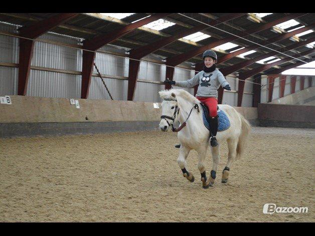 Anden særlig race Tinka - T-I-N-K-A <3<3<3 billede 5