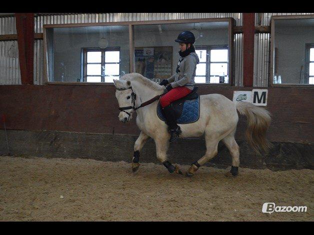 Anden særlig race Tinka - My  love!<3 billede 11